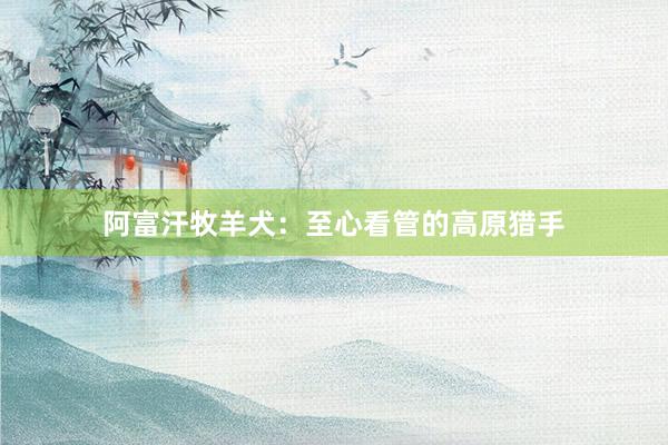 阿富汗牧羊犬：至心看管的高原猎手